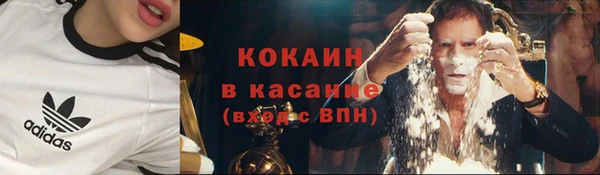 СК Гусь-Хрустальный