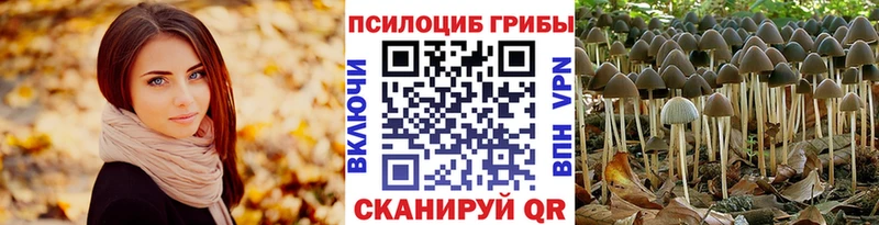 Галлюциногенные грибы Magic Shrooms  как найти   Альметьевск 